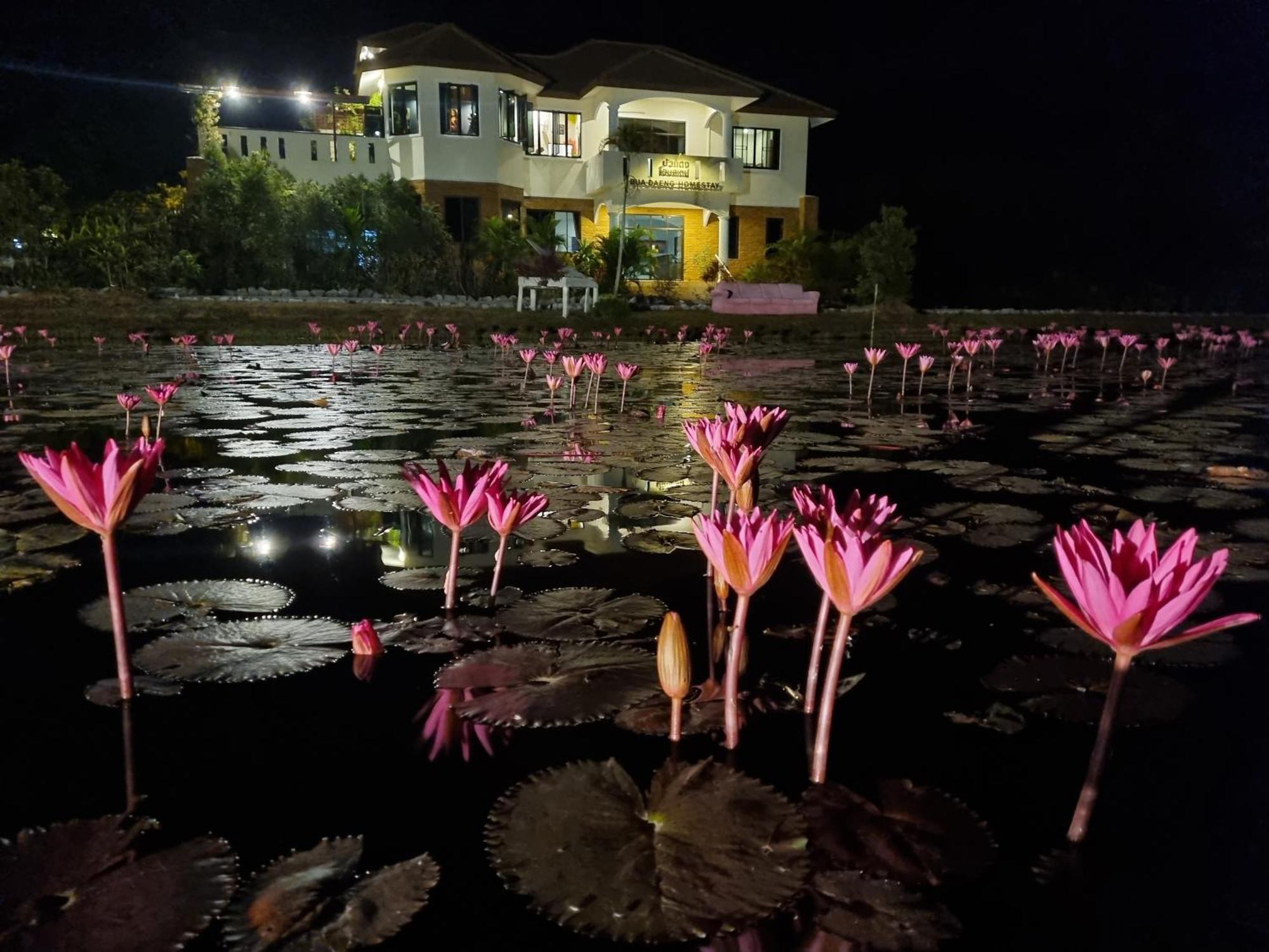 Bua Daeng Homestay Resort Kumphawapi Eksteriør bilde