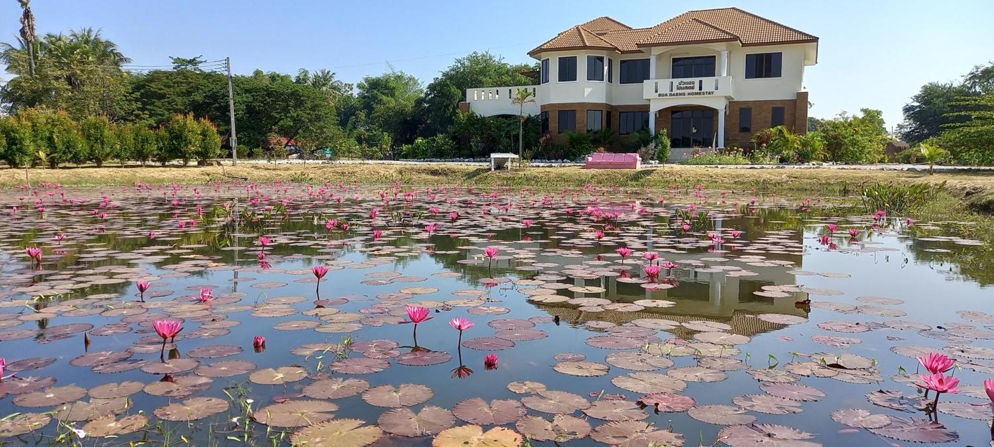 Bua Daeng Homestay Resort Kumphawapi Eksteriør bilde